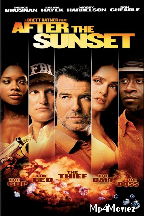 After the Sunset (2004) Hindi Dubbed BluRay download full movie