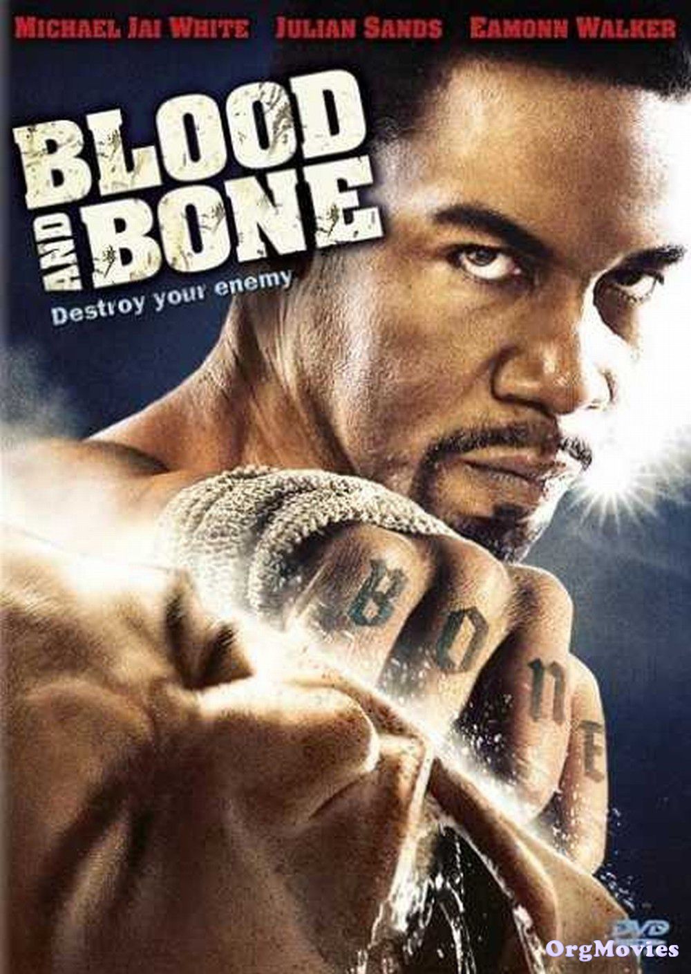 Blood and Bone 2009 Hindi Dubbed Full Movie download full movie