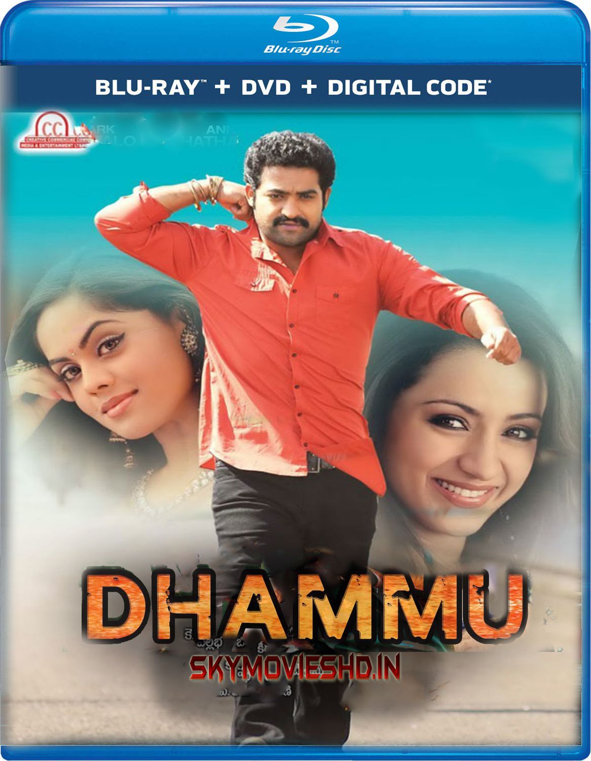 Dhammu (2013) Hindi Dubbed UNCUT BluRay download full movie