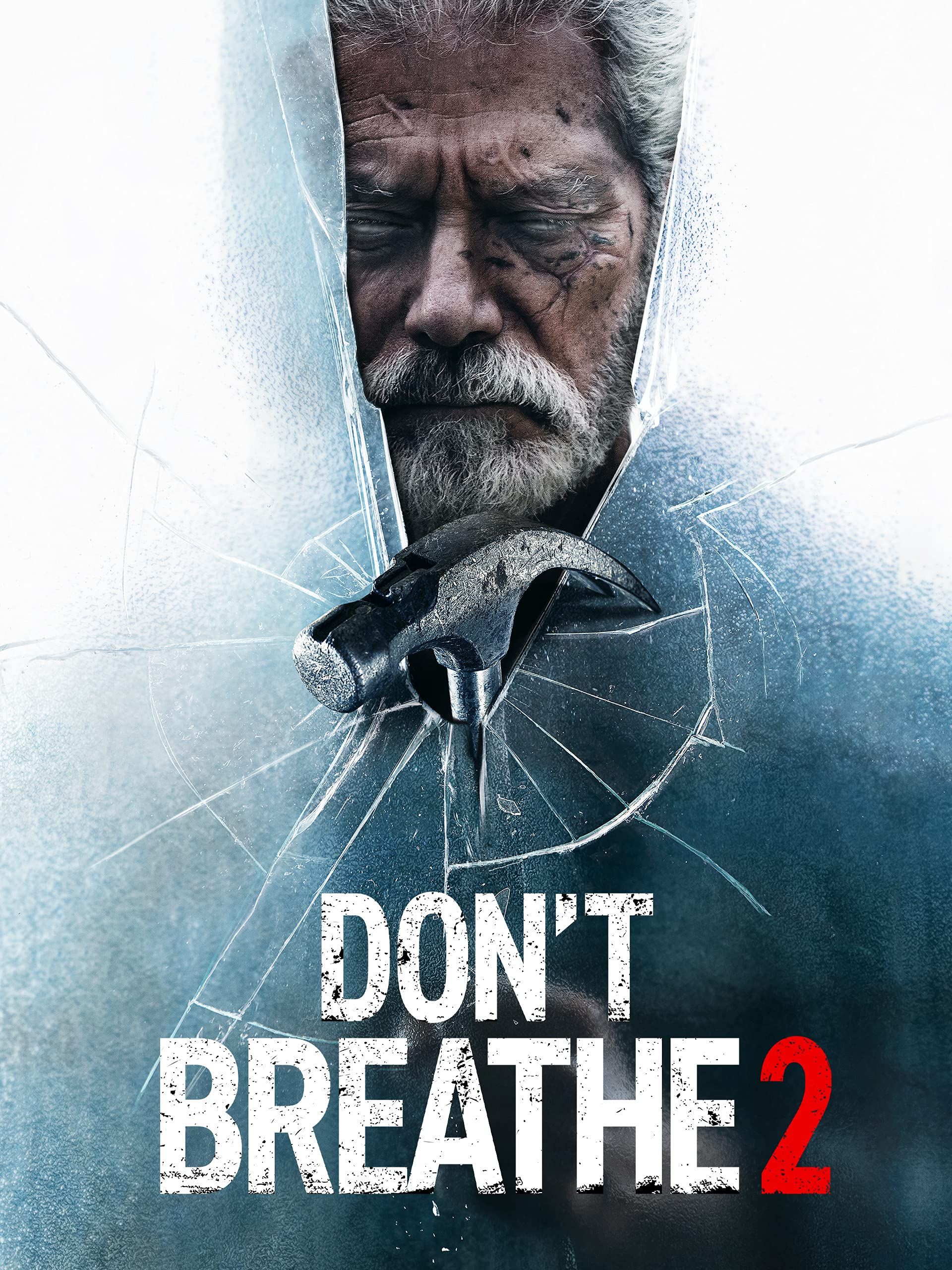 Dont Breathe 2 (2021) Hindi (CAM Cleaned) Dubbed HDRip download full movie