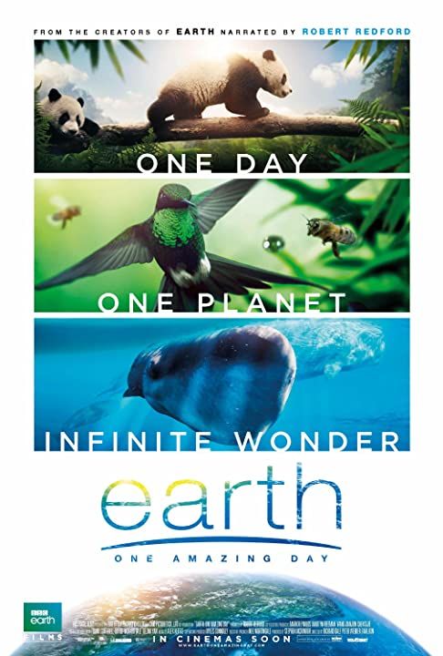 Earth: One Amazing Day (2017) Hindi Dubbed HDRip download full movie