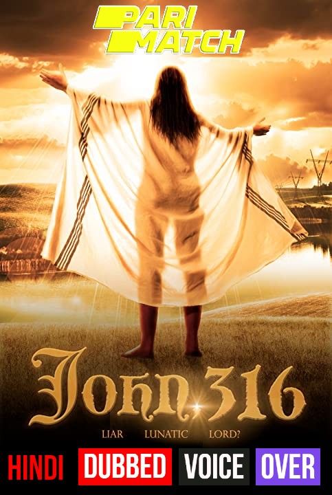 John 316 (2020) Hindi (Voice Over) Dubbed WEBRip download full movie