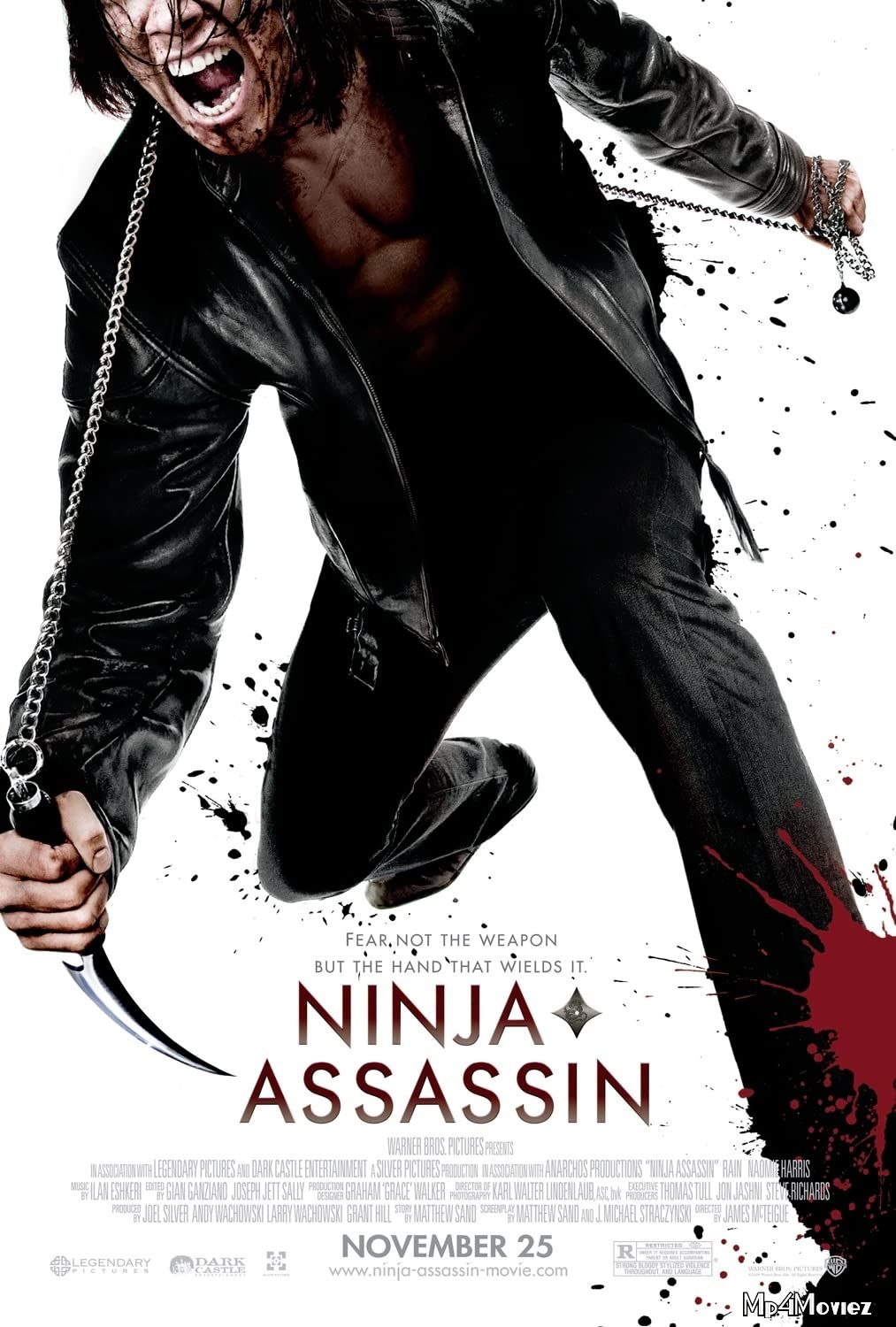 Ninja Assassin (2009) Hindi Dubbed BRRip download full movie