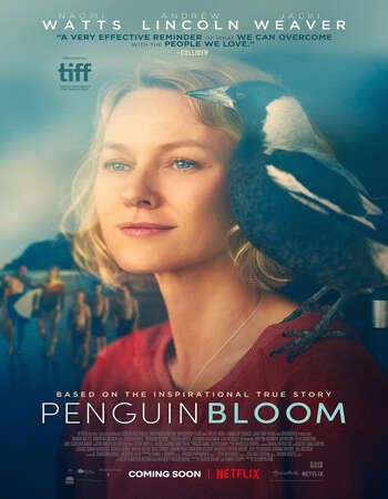 Penguin Bloom (2020) English WEB-DL download full movie
