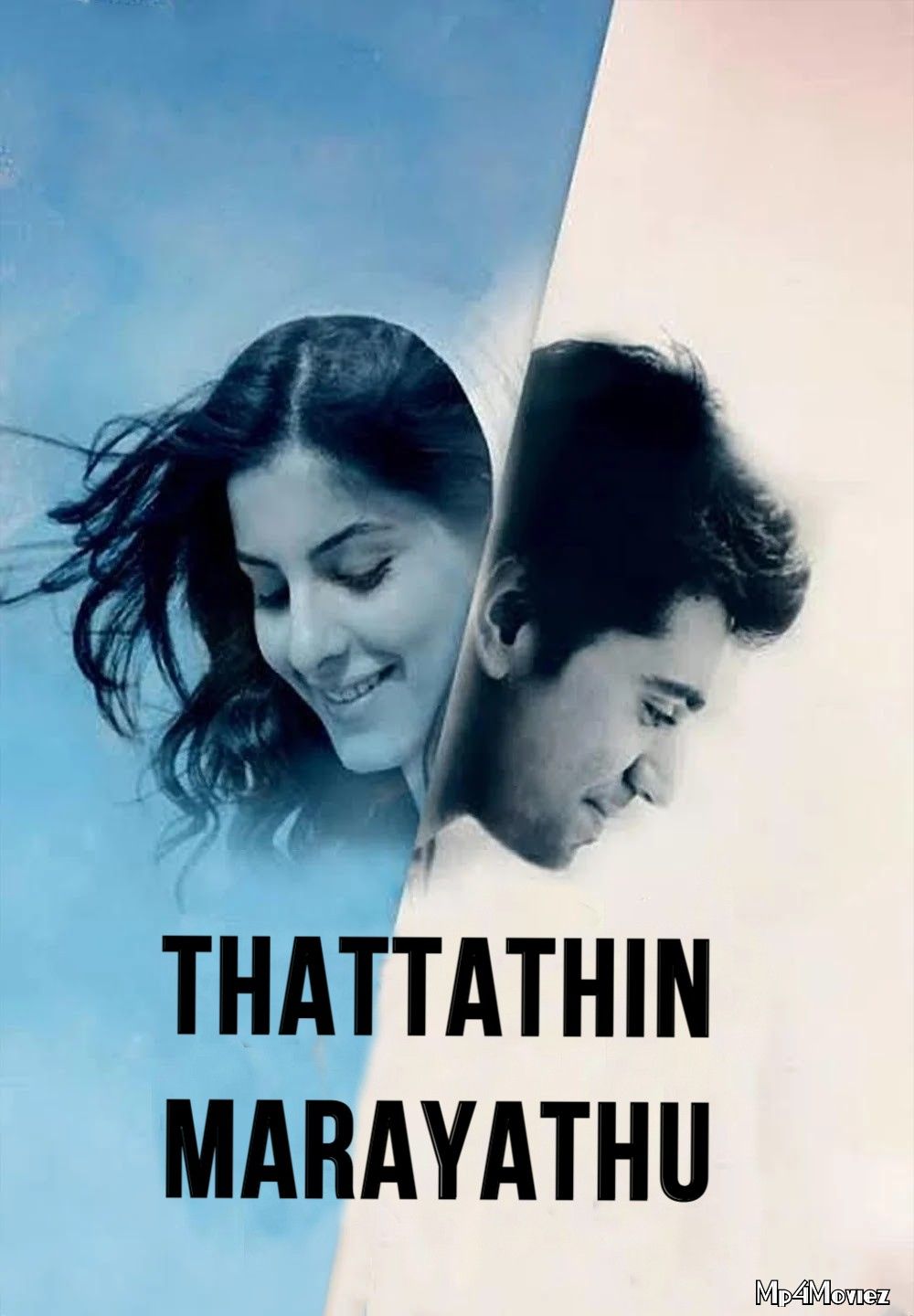 Thattathin Marayathu (2021) Hindi Dubbed HDRip download full movie