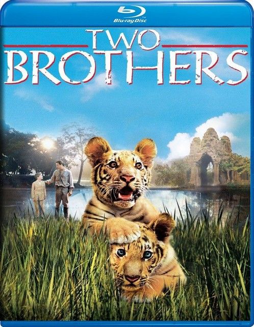 Two Brothers (2004) Hindi Dubbed BluRay download full movie