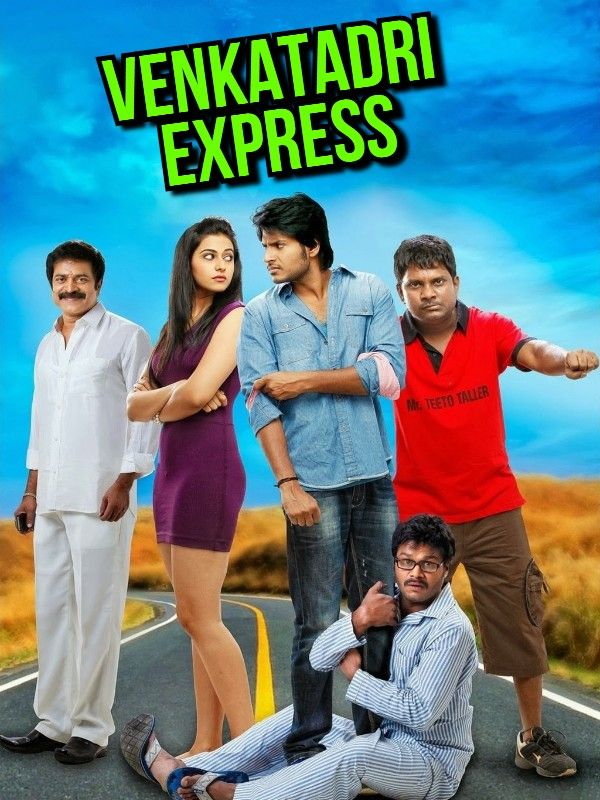 Venkatadri Express (2013) Hindi Dubbed HDRip download full movie