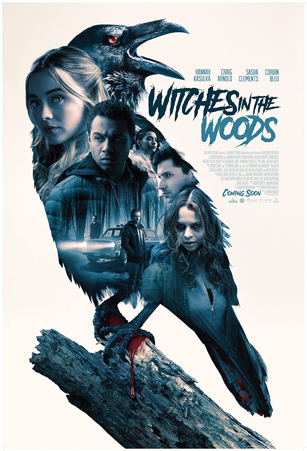 Witches In The Woods (2019) Hindi Dubbed BluRay download full movie